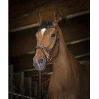 Bridon Norton Pro Rock Avana Marrone Bridon Norton Pro Rock Avana Marrone