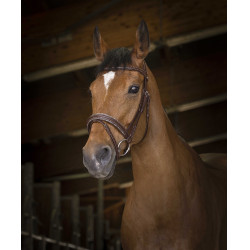 Bridon Norton Pro Rock Avana Marrone