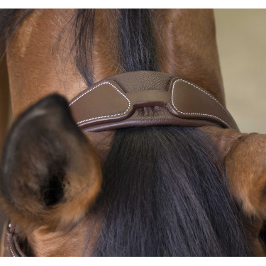 Bridon Norton Pro Rock Avana Marrone