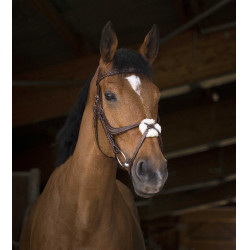 Briglia Norton Pro con capezzina incrociata Avana Marrone