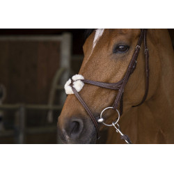 Briglia Norton Pro con capezzina incrociata Avana Marrone