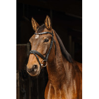 Bridon Norton Pro Galon Nero Bridon Norton Pro Galon Nero