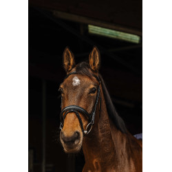 Bridon Norton Pro Dark Nero