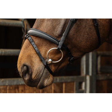 Bridon Norton Pro Dark Nero