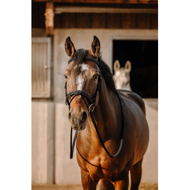 Bridon Eric Thomas Work Nero