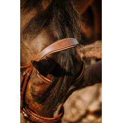 Bridon Eric Thomas Work Avana Marrone