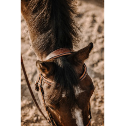 Bridon Eric Thomas Work Avana Marrone