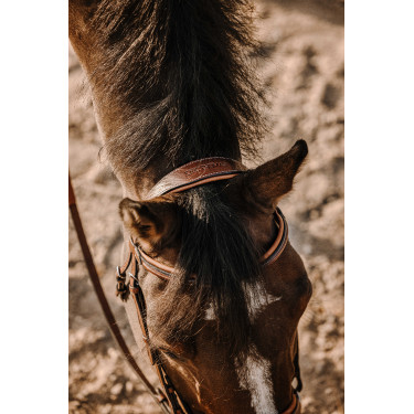 Bridon Eric Thomas Work Avana Marrone