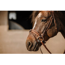 Bridon Eric Thomas Work Avana Marrone