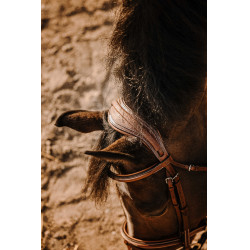 Bridon Eric Thomas Crown Avana Marrone