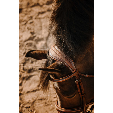 Bridon Eric Thomas Crown Avana Marrone