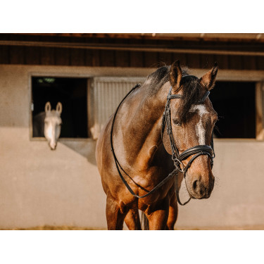 Bridon Eric Thomas Bat Nero