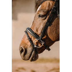 Bridon Eric Thomas Bat Nero