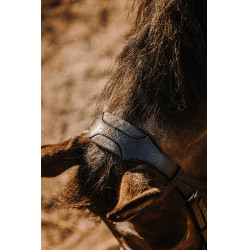 Bridon Eric Thomas Bat Nero