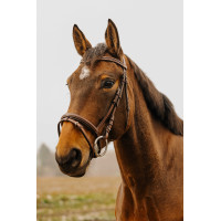 Briglia Norton Club Strass V Nero Briglia Norton Club Strass V Nero