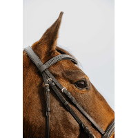 Briglia Norton Club Strass V Nero