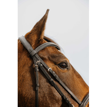 Briglia Norton Club Strass V Nero