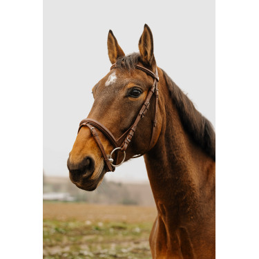 Bridon Norton Club Square Avana Marrone