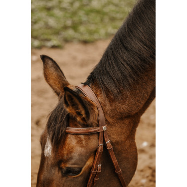 Bridon Norton Club Square Avana Marrone