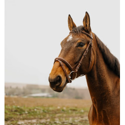 Bridon Norton Club Square Avana Marrone