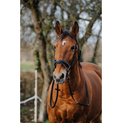 Addestramento Bridon Norton Nero