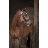 Sottosella Norton Pro Nero Sottosella Norton Pro Nero