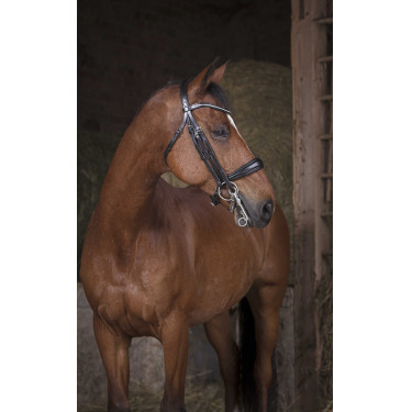 Sottosella Norton Pro Nero