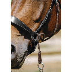 Bridon Bitless Norton Avana Marrone