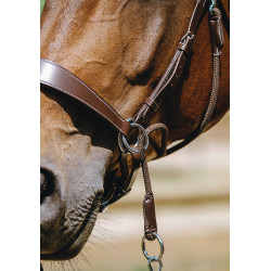 Bridon Bitless Norton Avana Marrone