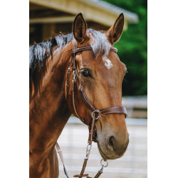 Bridon Bitless Norton Avana Marrone