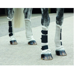 Ghette antimosche Fly turnout Shires Ghette antimosche Fly turnout Shires