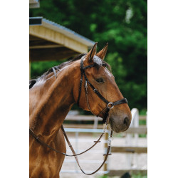 Bridon Bitless Norton Nero