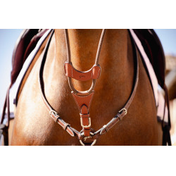 Freccia di martingala Pénélope Bip Light US elastica Nocciola Marrone