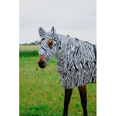 Cuffia anti-eczema Riding World Zebra nero / bianco Motivi