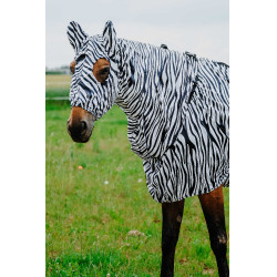 Cuffia anti-eczema Riding World Zebra nero / bianco Motivi