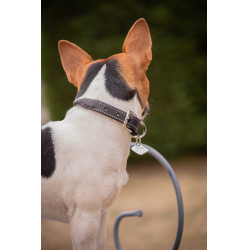 Collare per cane Pénélope Olie Nero