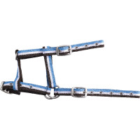 Cavezzina puledro regolabile Cioccolato / bianco / cielo Marrone