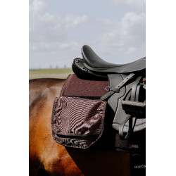 Tappeto da trekking Randol's Mesh Marrone Tappeto da trekking Randol's Mesh Marrone