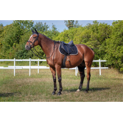 Sottosella Equithème Polyfun Nero / talpa