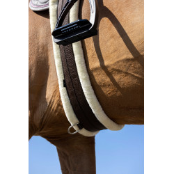 Cinghia elastica Norton Smooth