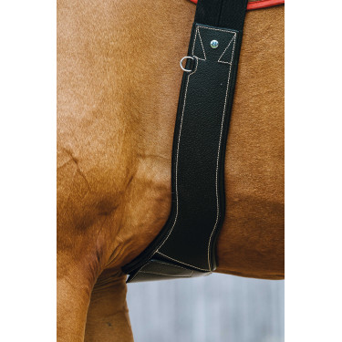 Sottopancia anatomico Magnet Norton Nero