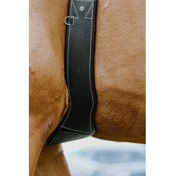 Sottopancia anatomico Magnet Norton Nero