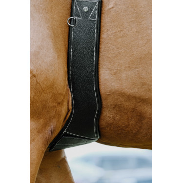 Sottopancia anatomico Magnet Norton Nero