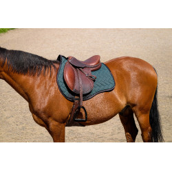 Sottosella Equithème Impulsion Verde