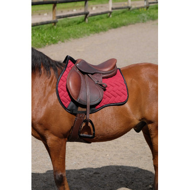 Sottosella Equithème Impulsion Bordeaux
