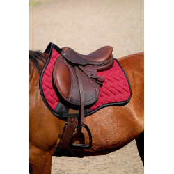Sottosella Equithème Impulsion Bordeaux