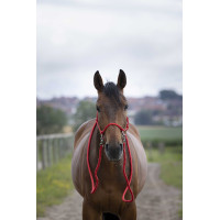 Capestro etologico con redini Marrone