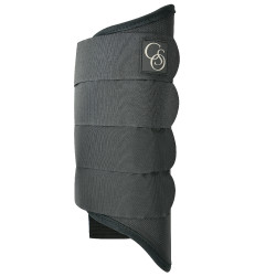 Parastinchi posteriori Norton 1680D