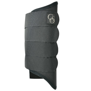 Parastinchi posteriori Norton 1680D