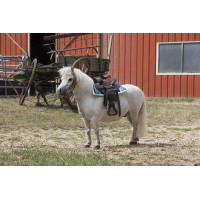 Tappeto navajo trapuntato